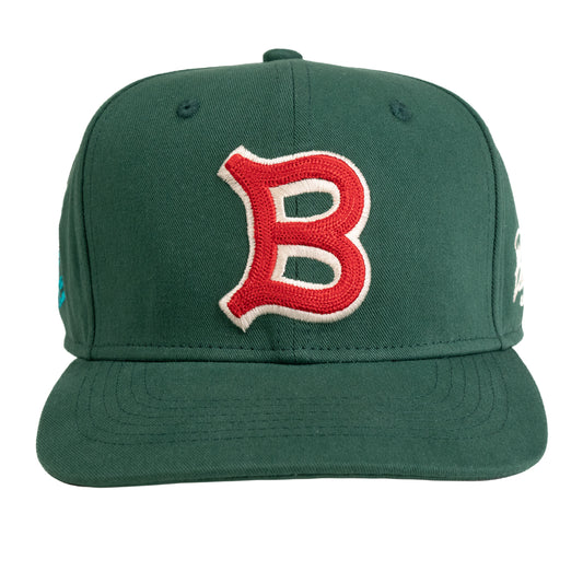 Biafra "MN Wildflower" Classic Snap-Back Hat